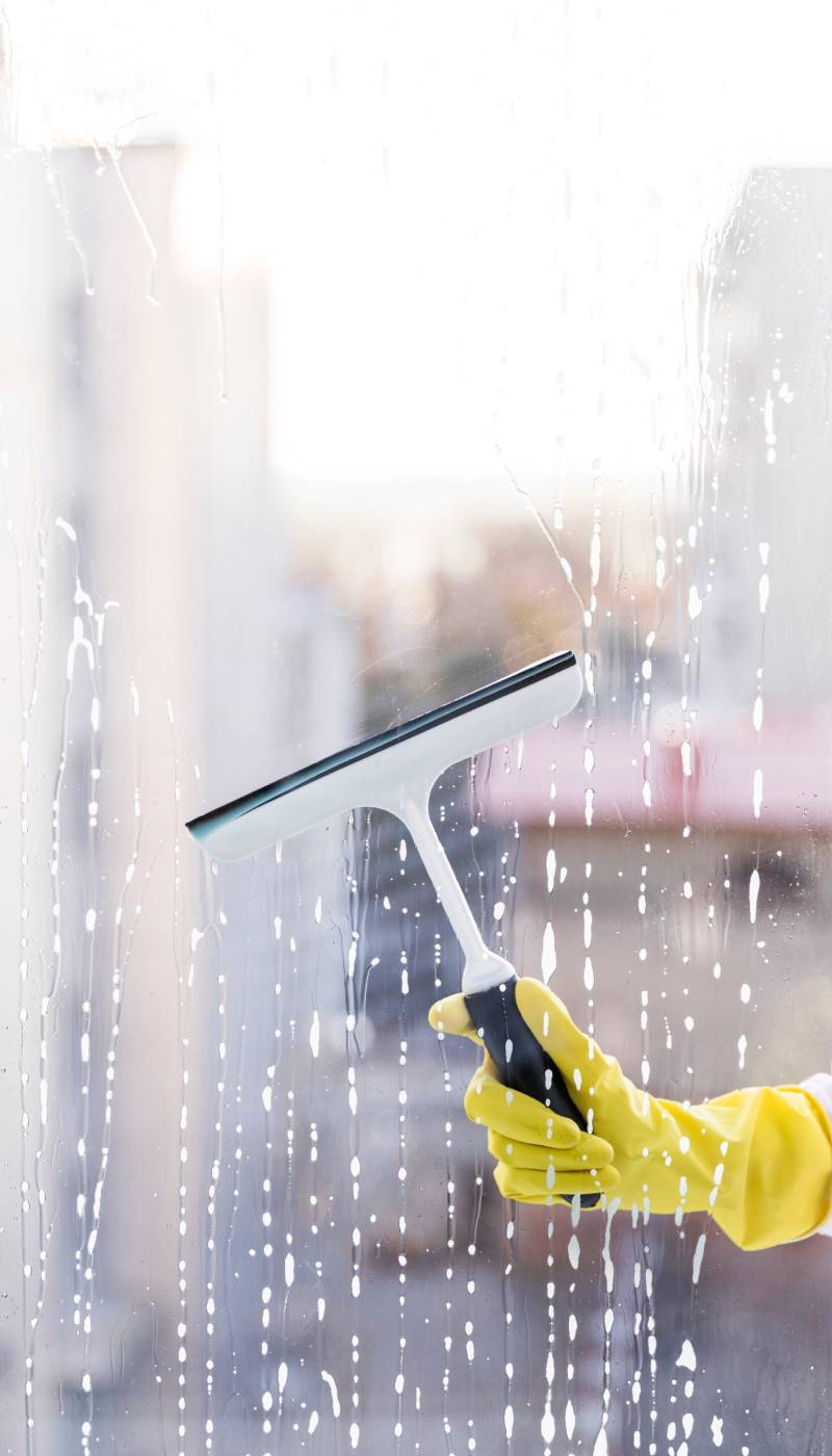 Window Cleaning Service